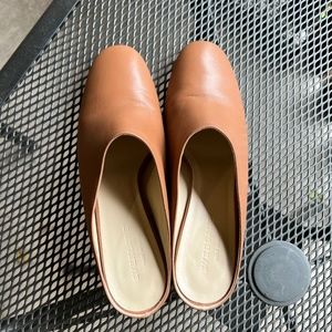 Everlane Heeled Mule (size 7/12)